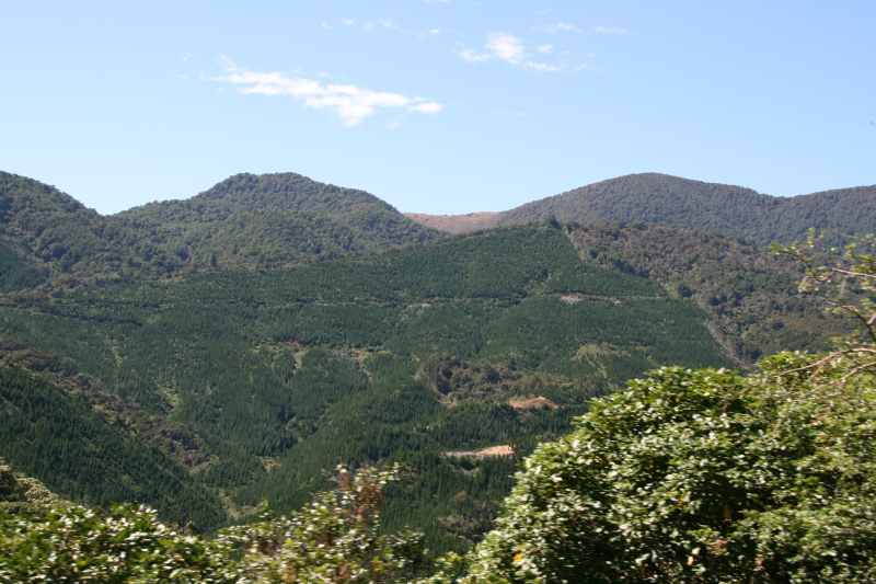 Nieuw-Zeeland 2011 - 0973